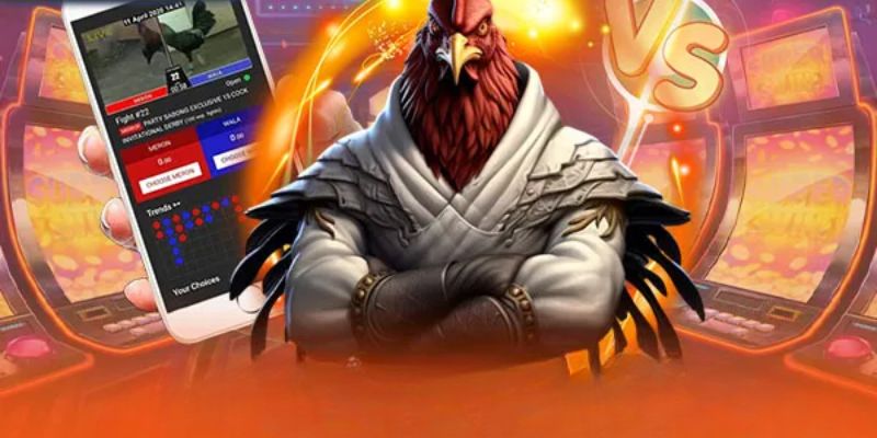 SV388 Đá Gà - Cơ Hội Trải Nghiệm Đẳng Cấp Đấu Trường ABC8 Thông tin của người dùng được cam kết không bị lộ